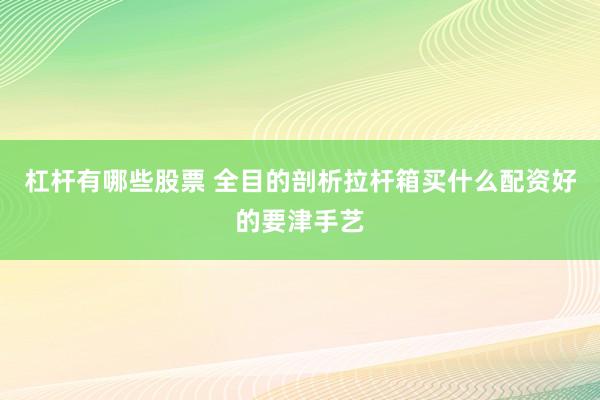 杠杆有哪些股票 全目的剖析拉杆箱买什么配资好的要津手艺
